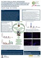 Impact Award 2023: Poster Martin Nagl 